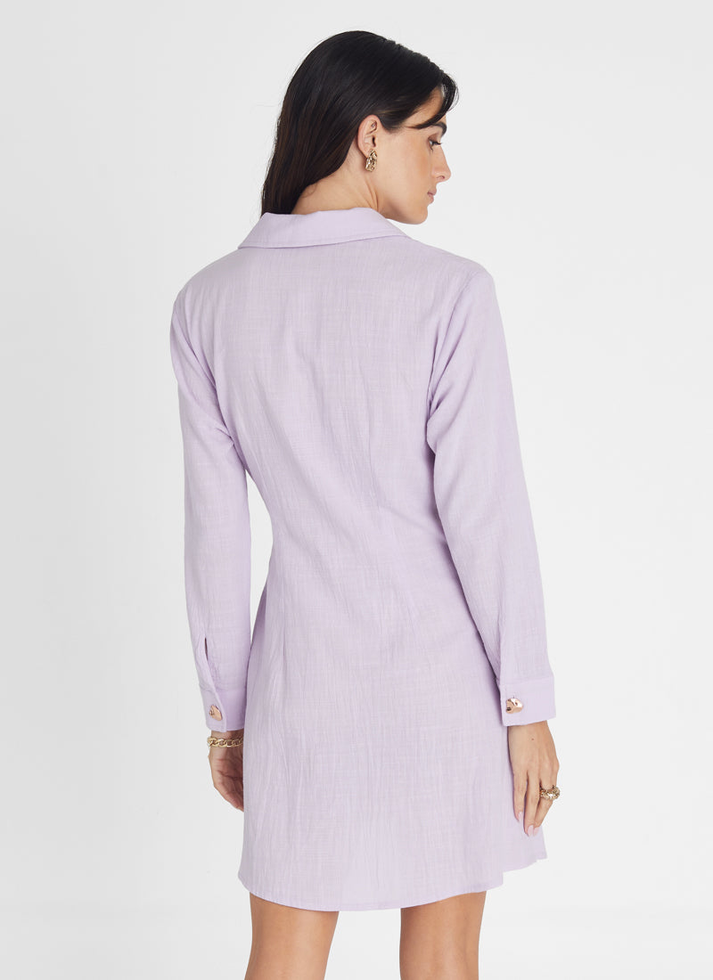 Amethyst Long Sleeve Dress